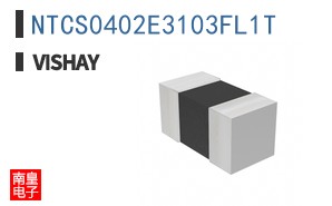 NTCS0402E3103FL1T