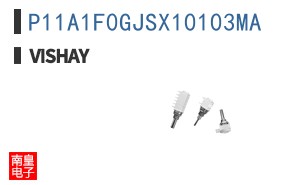 P11A1F0GJSX10103MA