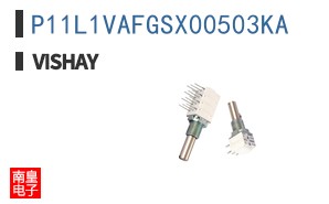 P11L1VAFGSX00503KA