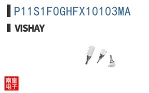 P11S1F0GHFX10103MA