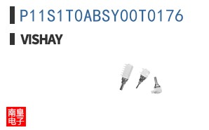 P11S1T0ABSY00T0176