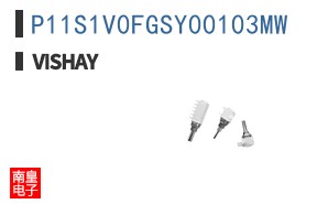 P11S1V0FGSY00103MW