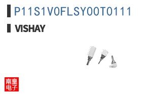 P11S1V0FLSY00T0111