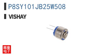 P8SY101JB25W508