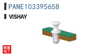 PANE103395658
