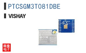 PTCSGM3T081DBE