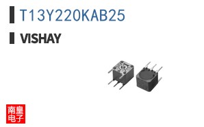 T13Y220KAB25