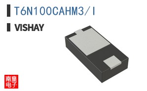 T6N100CAHM3/I