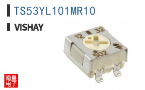 TS53YL101MR10