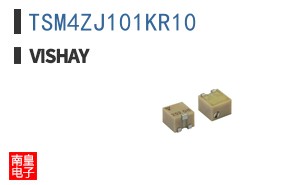 TSM4ZJ101KR10